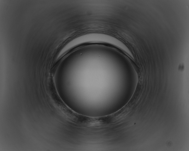 X0000091450456200708301813
