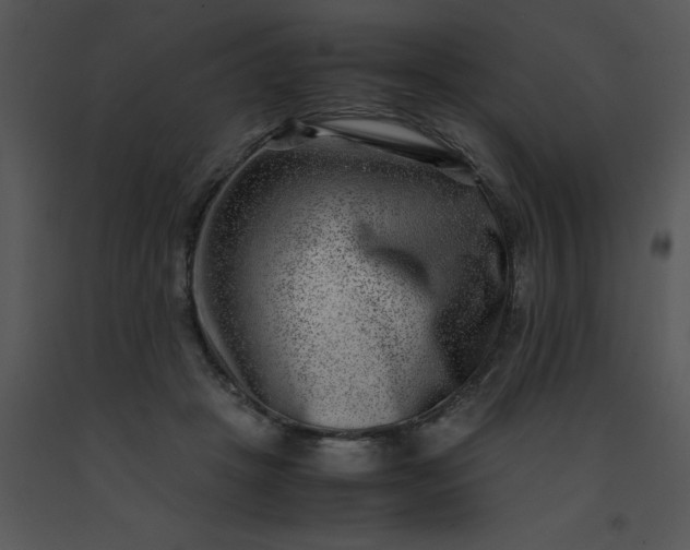 X0000091450457200708301813