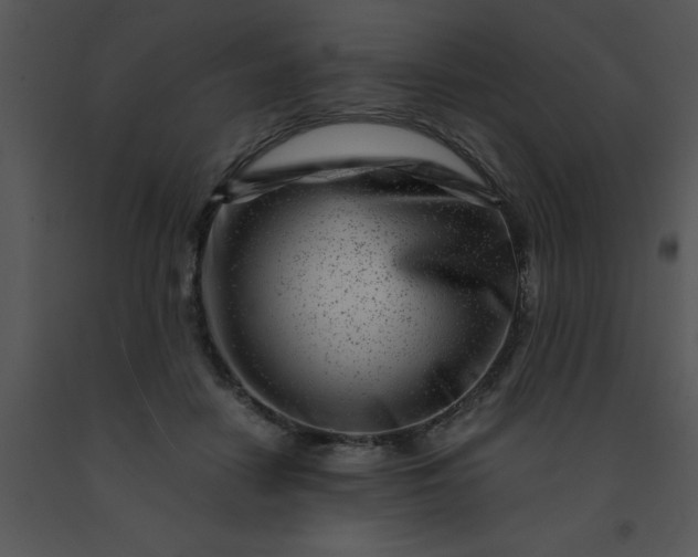 X0000091450458200708301813