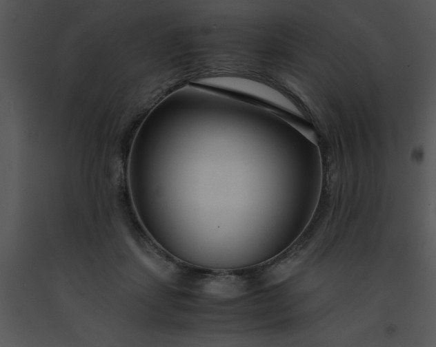 X0000091450459200708301813