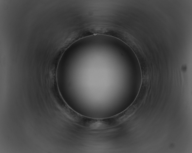 X0000091450460200708301813