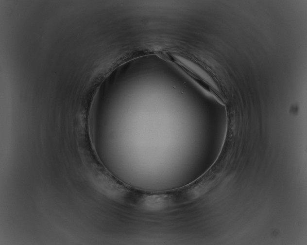 X0000091450461200708301813