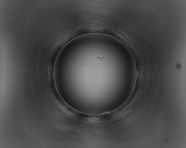 X0000091450462200708301813