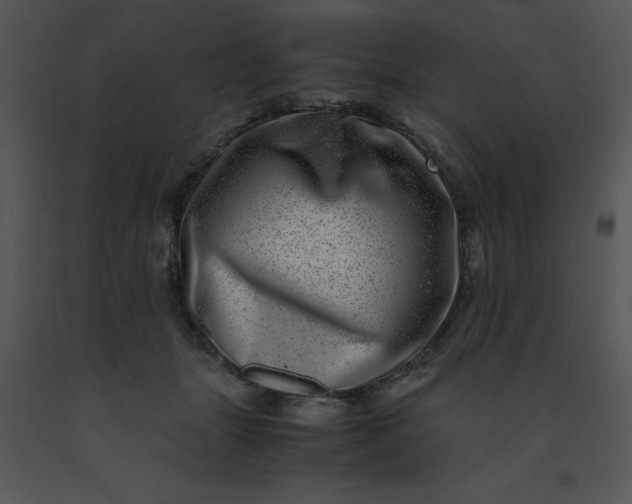 X0000091450463200708301813