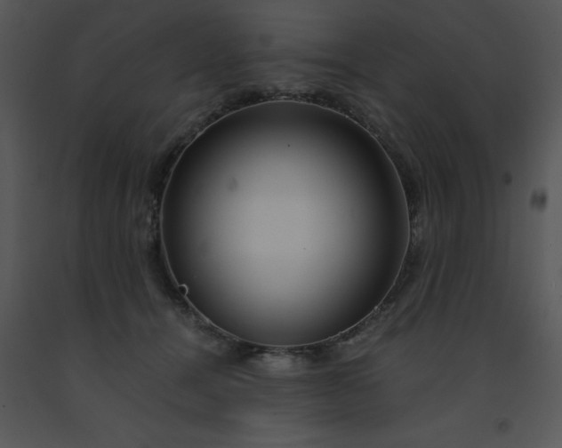 X0000091450464200708301813