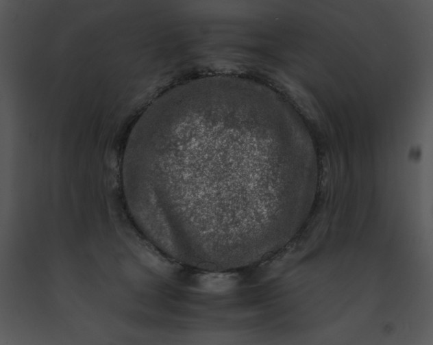 X0000091450465200708301813