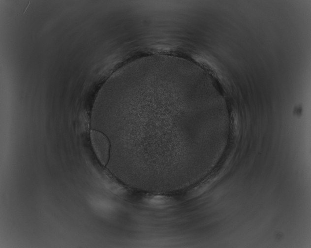 X0000091450467200708301813