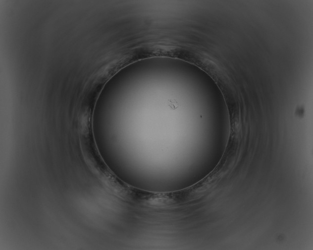 X0000091450468200708301813