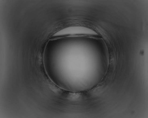 X0000091450469200708301814