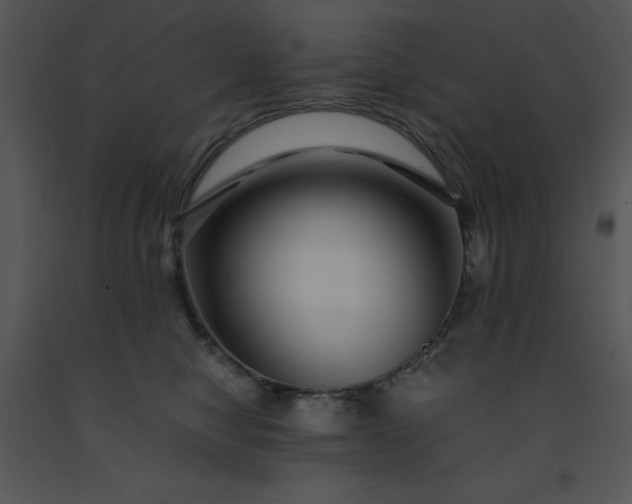 X0000091450470200708301814
