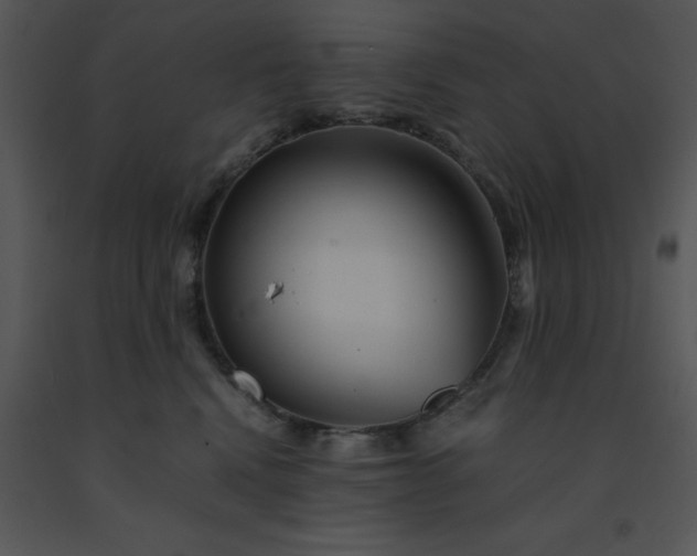 X0000091450472200708301814