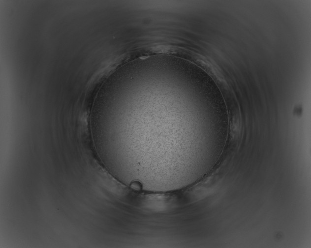X0000091450473200708301814