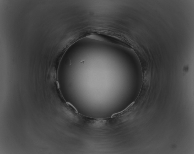 X0000091450474200708301814