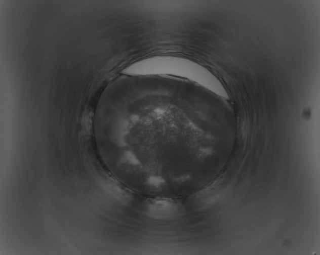 X0000091450475200708301814