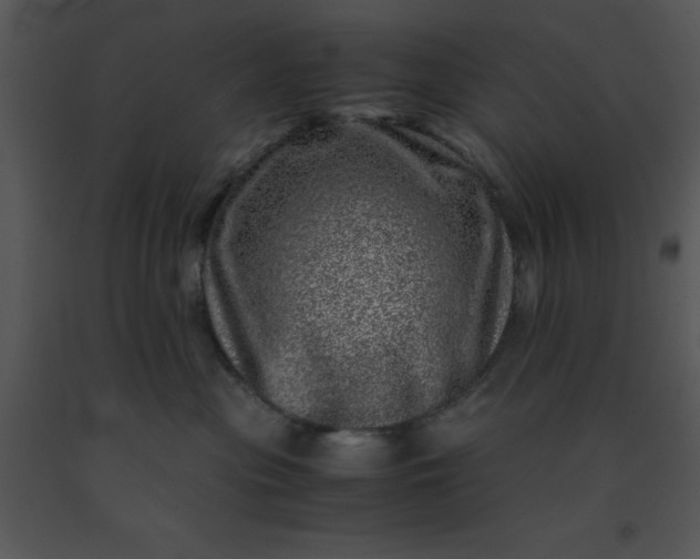 X0000091450477200708301814
