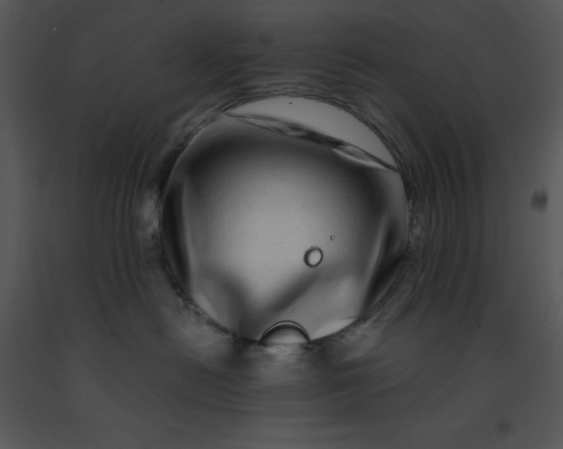 X0000091450478200708301814