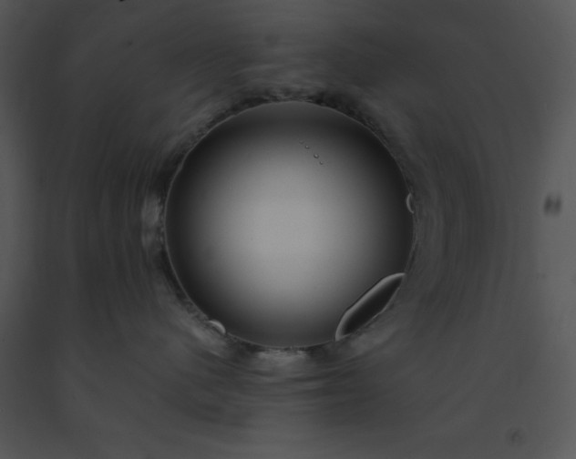 X0000091450480200708301814