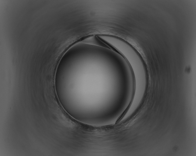 X0000091450481200708301813