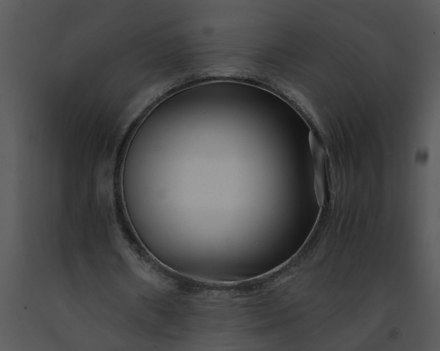 X0000091450482200708301813