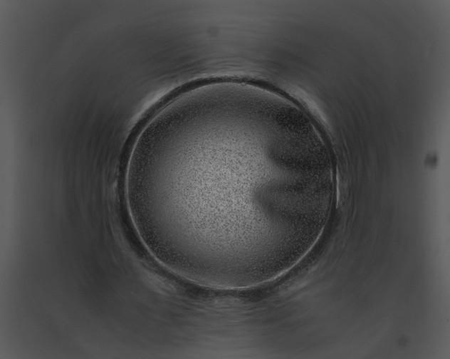 X0000091450483200708301813
