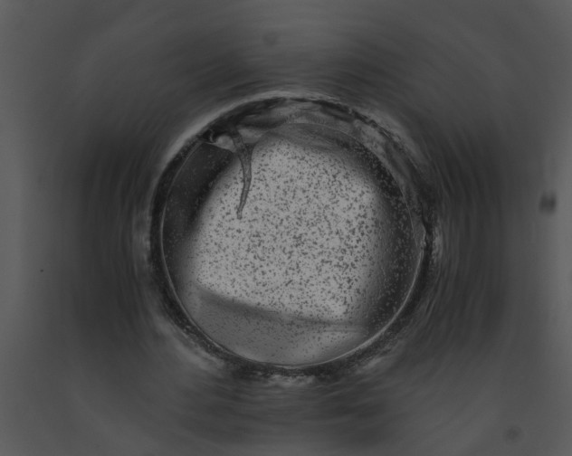 X0000091450484200708301813