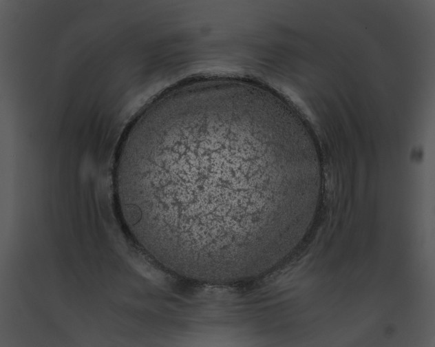 X0000091450487200708301813