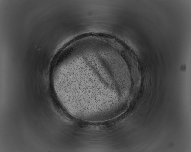 X0000091450488200708301813
