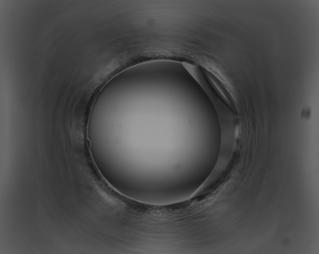 X0000091450489200708301813