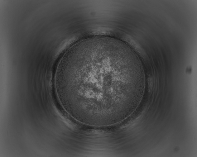 X0000091450490200708301813