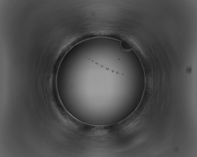 X0000091450491200708301813