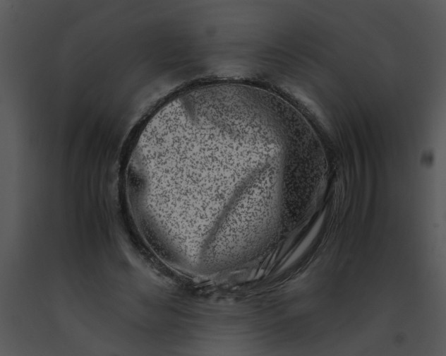 X0000091450492200708301813