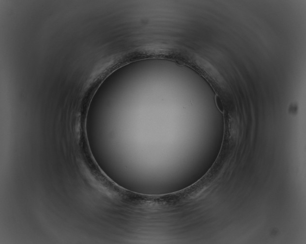 X0000091450494200708301813