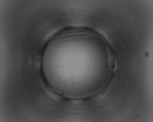 X0000091450495200708301813