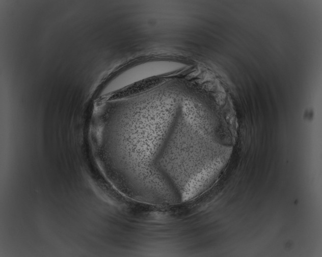 X0000091450496200708301813
