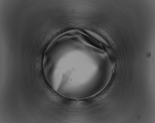 X0000091450497200708301813