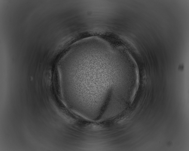 X0000091450498200708301813