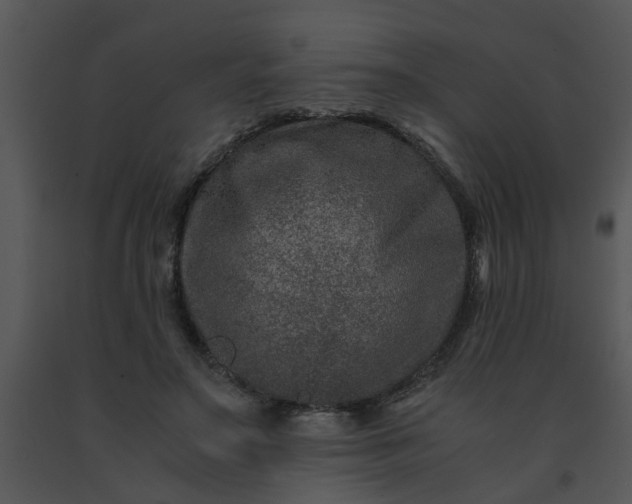 X0000091450499200708301813