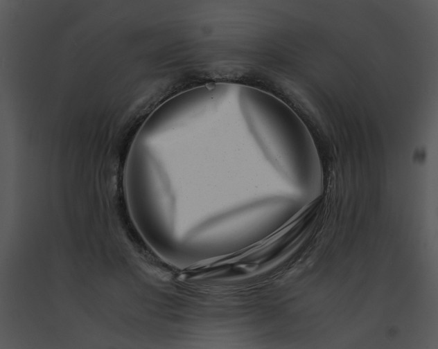 X0000091450501200708301813