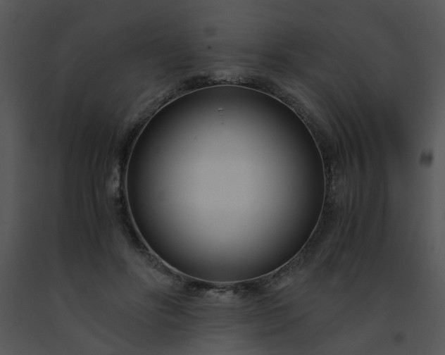 X0000091450502200708301813