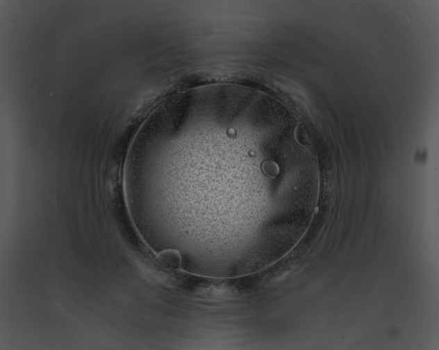 X0000091450503200708301813