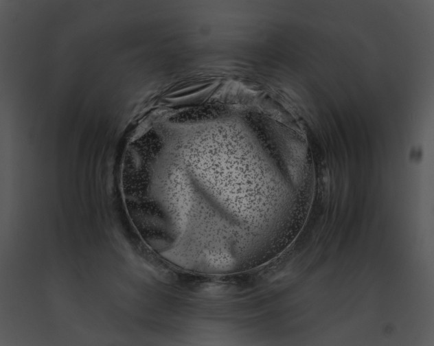 X0000091450504200708301813