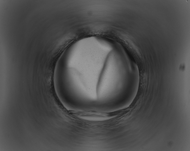 X0000091450505200708301813