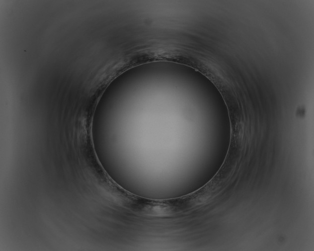 X0000091450506200708301813