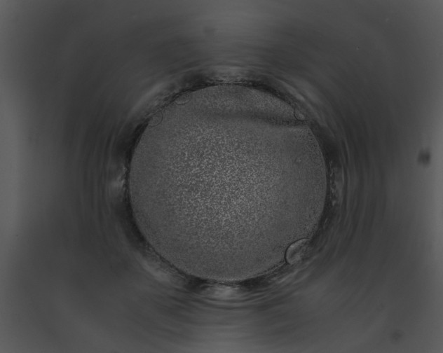 X0000091450507200708301813