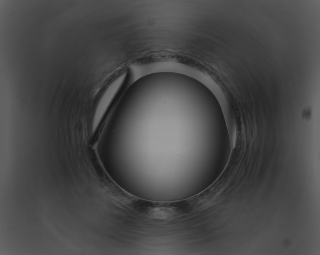 X0000091450508200708301813