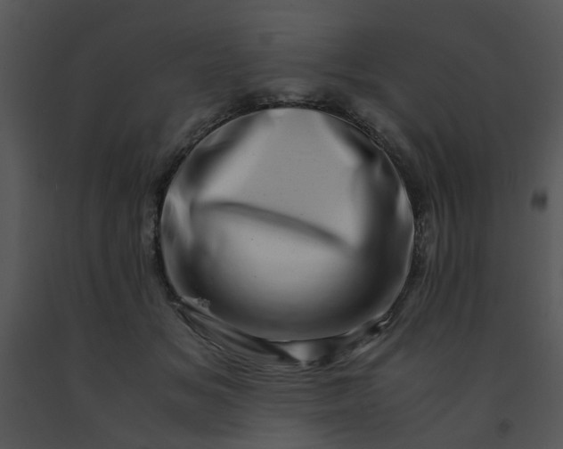 X0000091450509200708301813