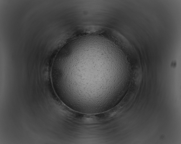 X0000091450510200708301813