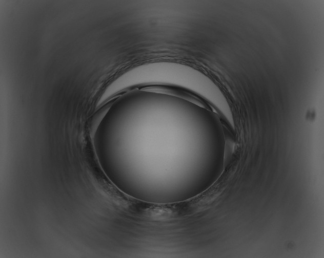 X0000091450512200708301813