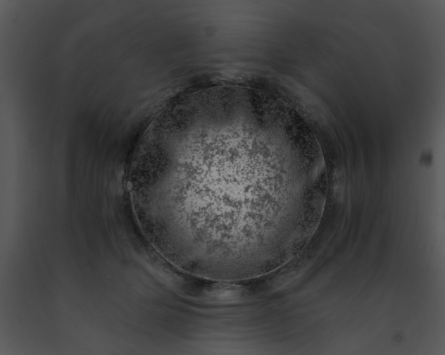 X0000091450514200708301813