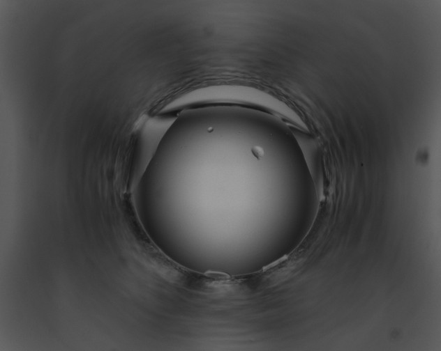 X0000091450516200708301813
